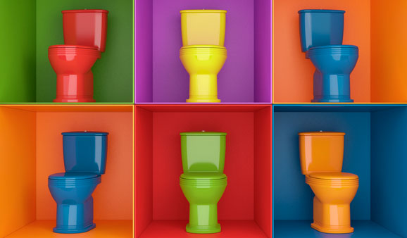 Photo de groupe : toutes les couleurs des WC Loobow