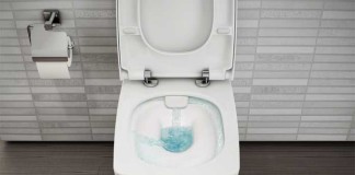 choisir une cuvette w-c
