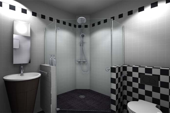 Petite salle de bain carrée avec un WC : vue de la douche